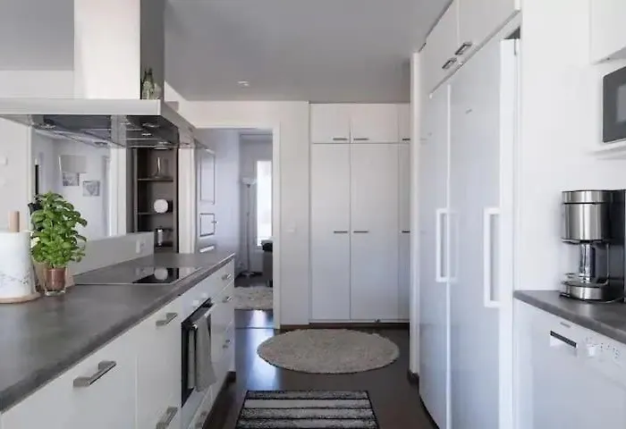 Large 3br For 10 Sauna Park View Near Center Apartment