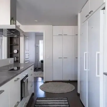 Large 3br For 10 Sauna Park View Near Center 公寓